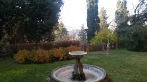 20151212_143149