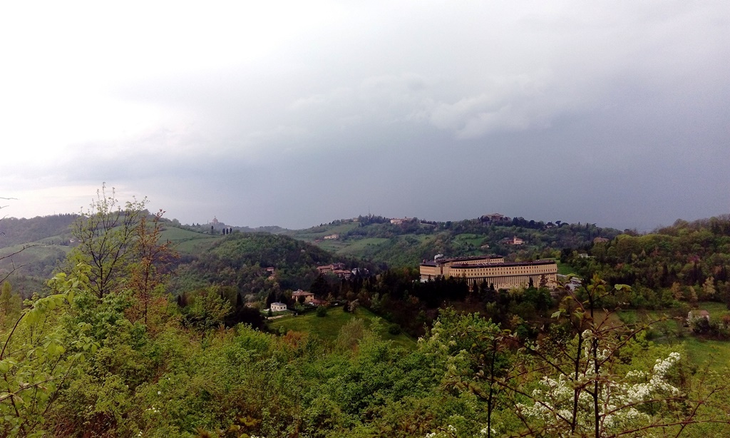 image-433